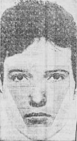 Composite image released during the investigation into earlier attacks near Leigh